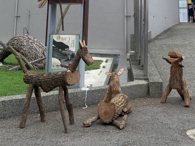 Wood materials for the Sanyi Woodcarving Art Festival as installation art